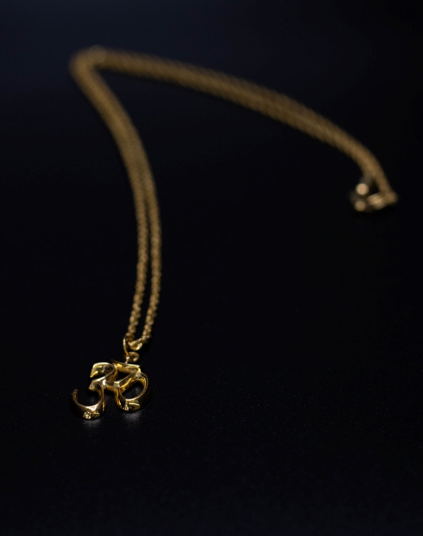 Rope Chain paired with an Ohm Pendant